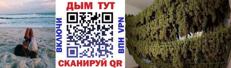 Шишки марихуана гибрид Тосно